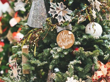 Freude unter´m Tannenbaum. Bildquelle Pexels
