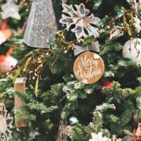 Freude unter´m Tannenbaum. Bildquelle Pexels